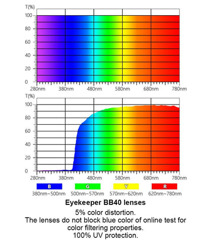 Square Butterfly Design Computer Eyeglasses LX19032-BB40eyekeeper.com